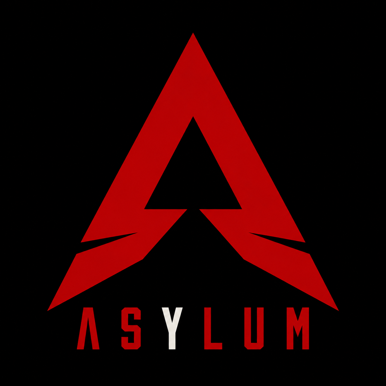 Asylum Exchange